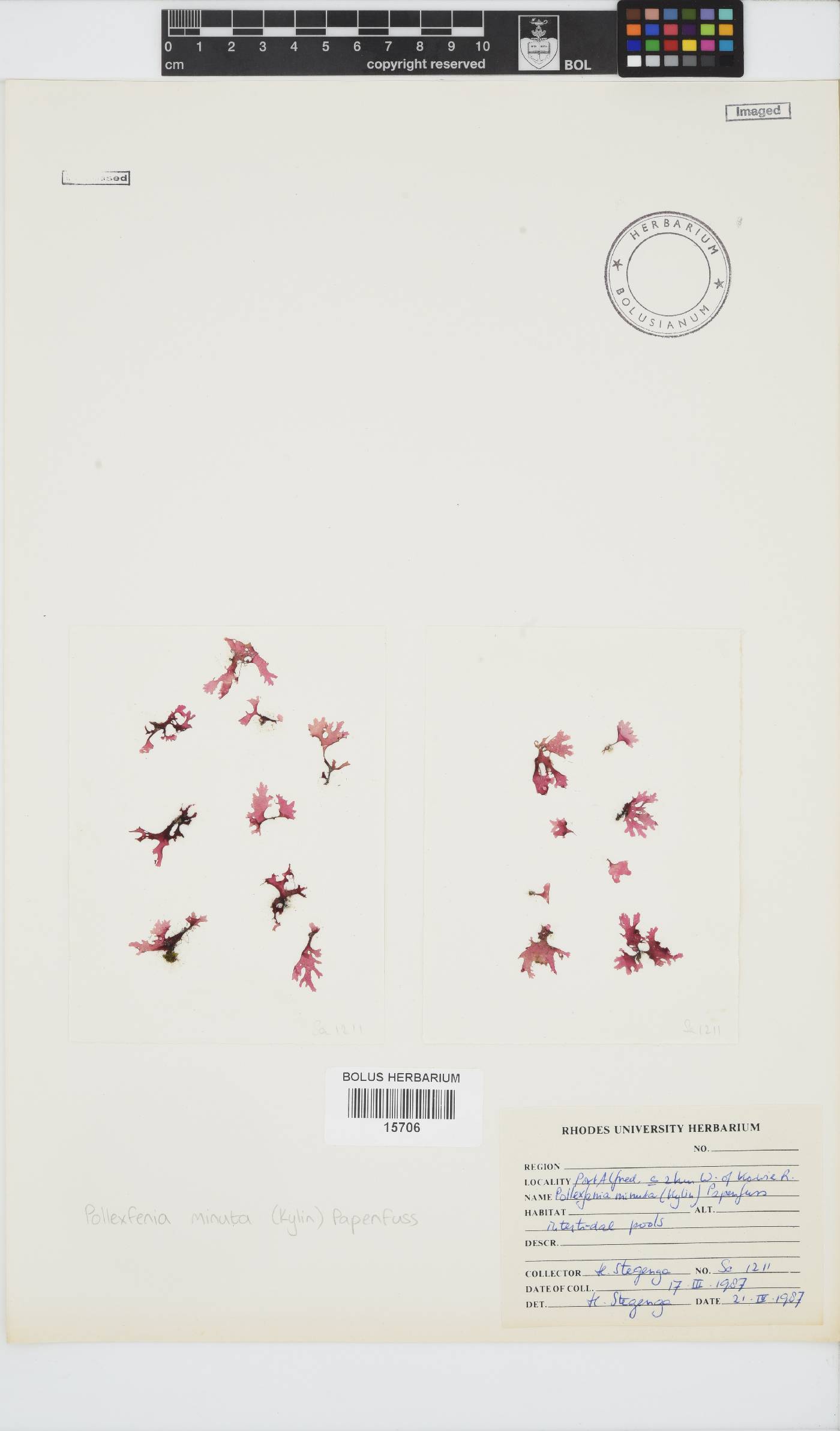Papenfussia minuta image
