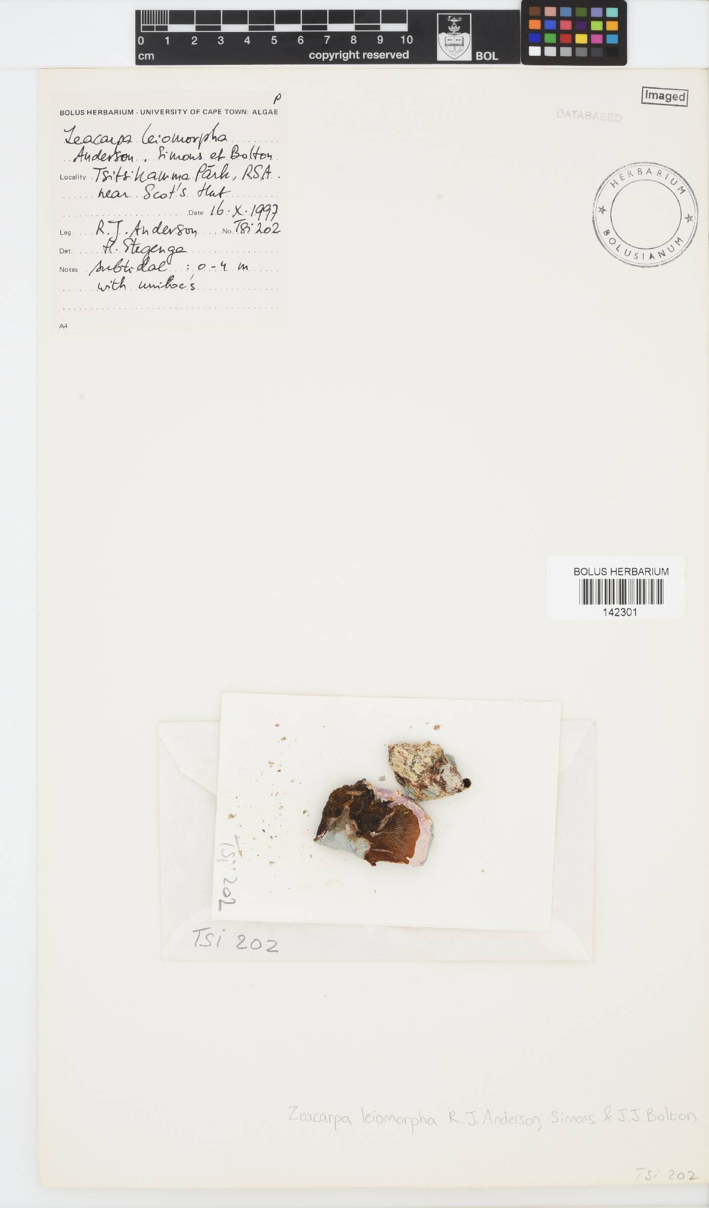 Zeacarpa image