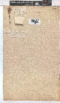 Erica eriocephala image