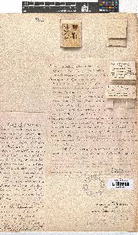 Erica abietina subsp. abietina image