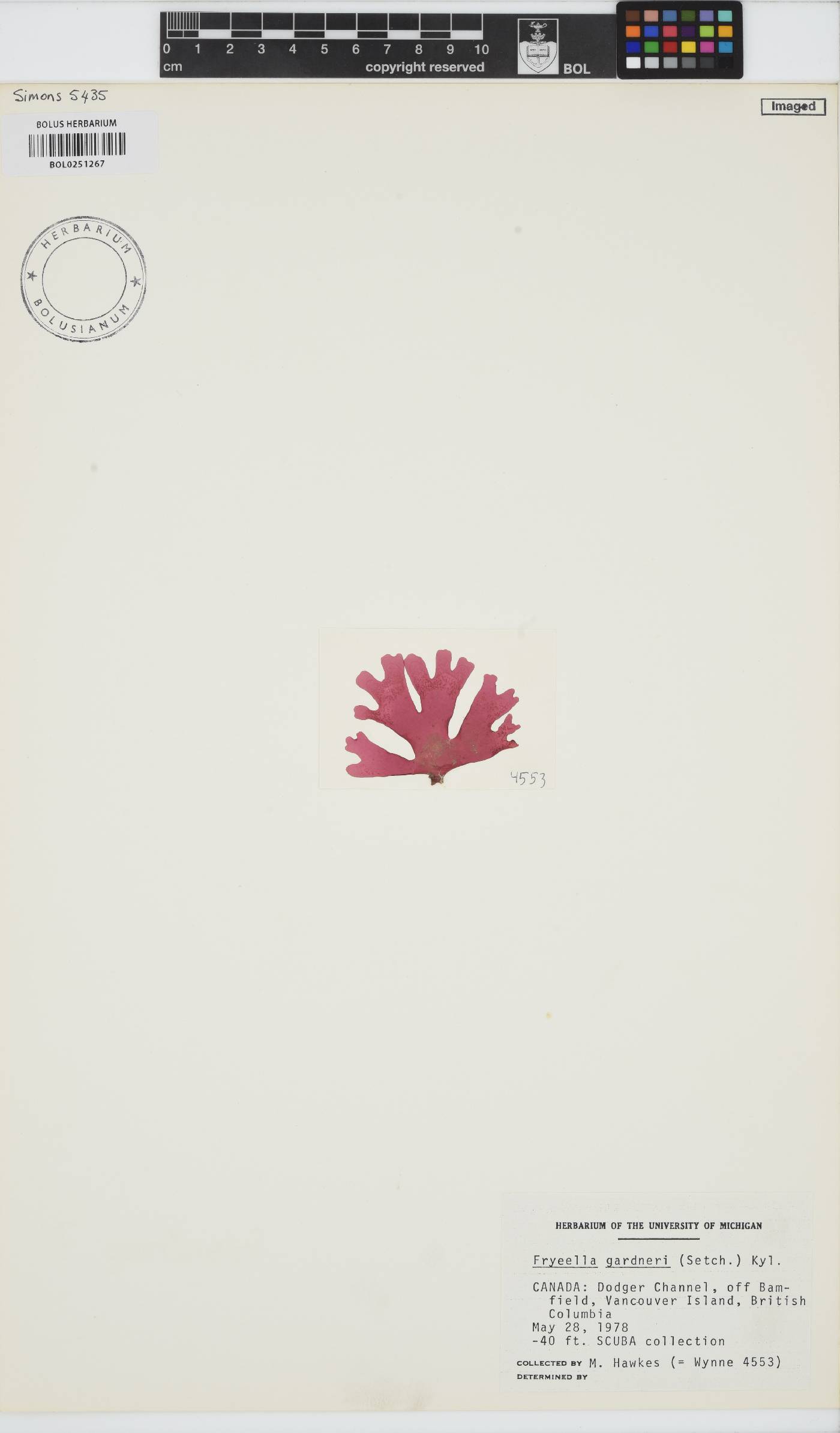 Fryeella gardneri image