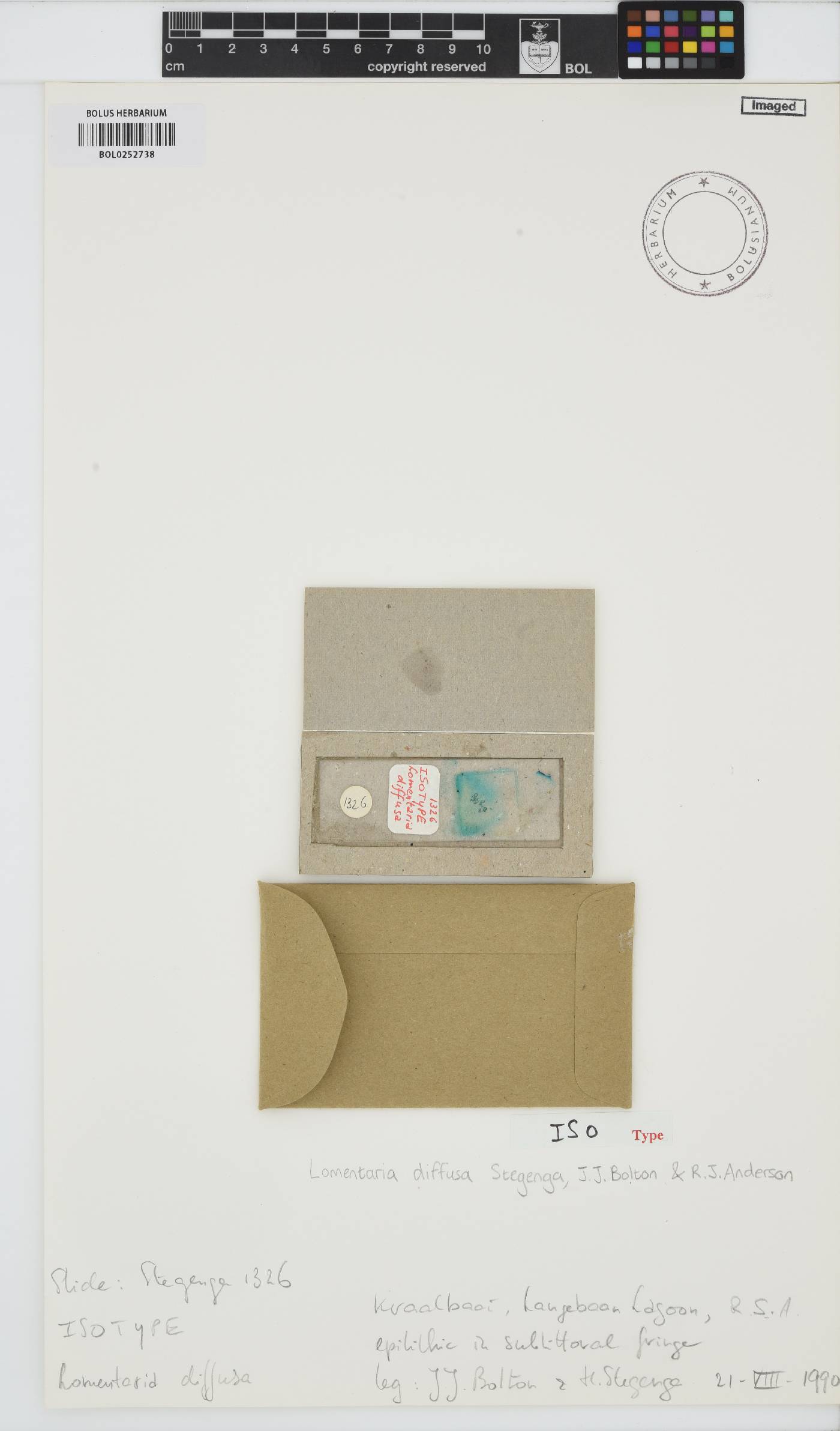 Lomentaria diffusa image