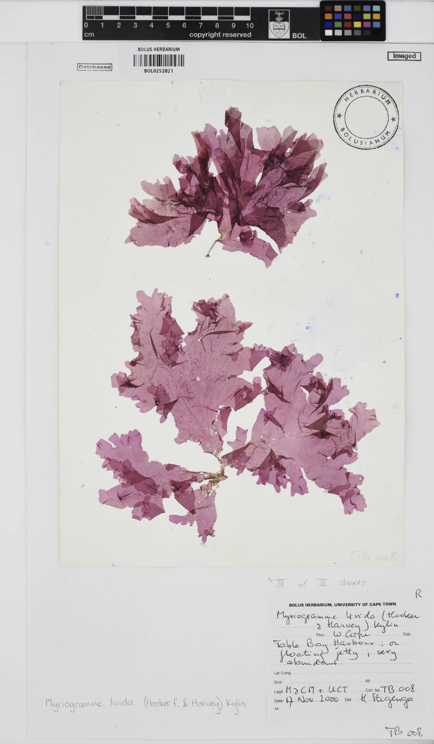 Myriogramme image