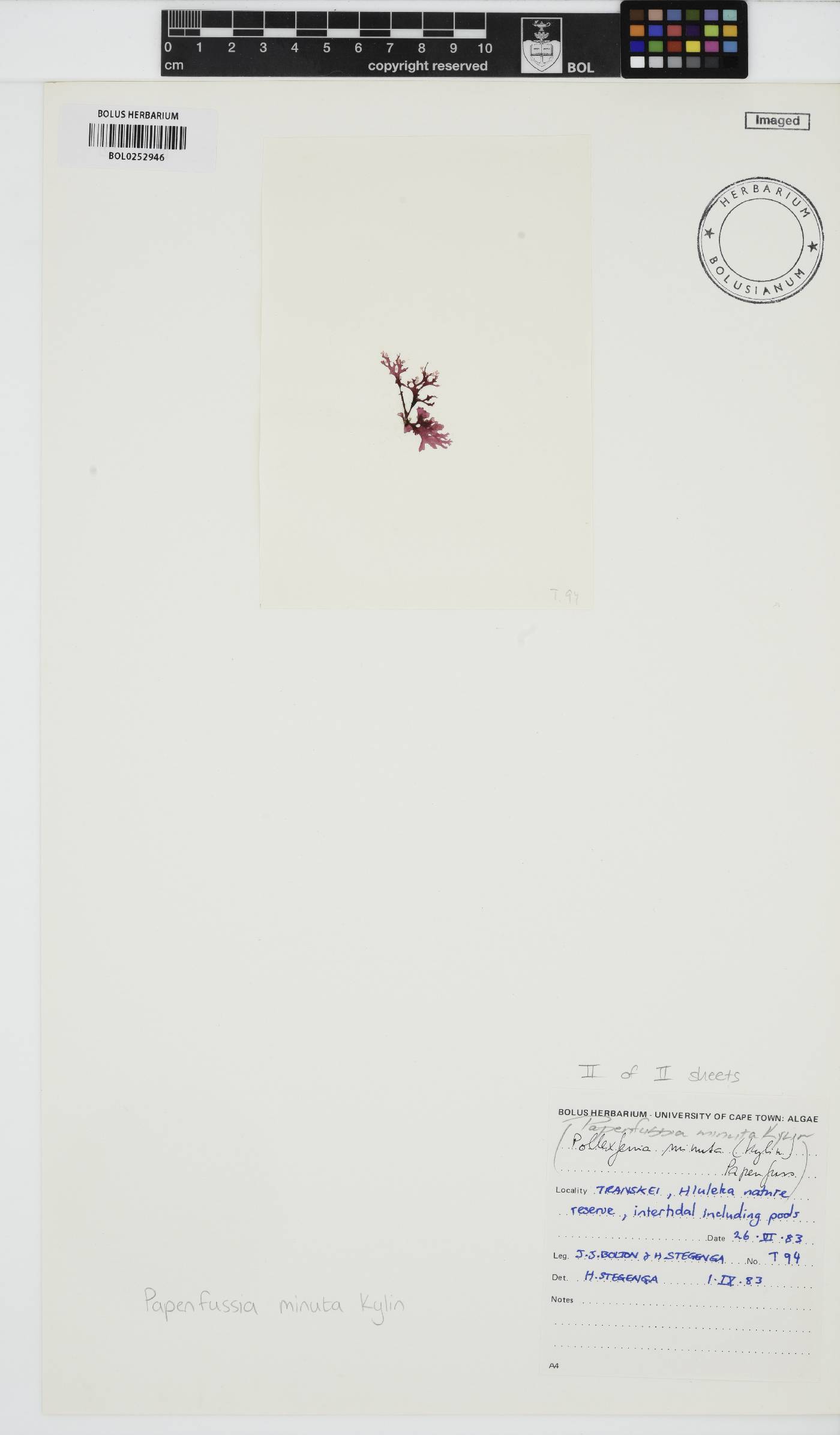 Papenfussia minuta image
