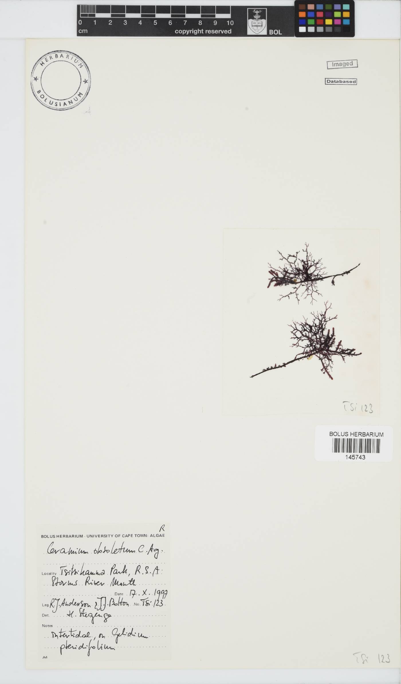 Carpoblepharis image