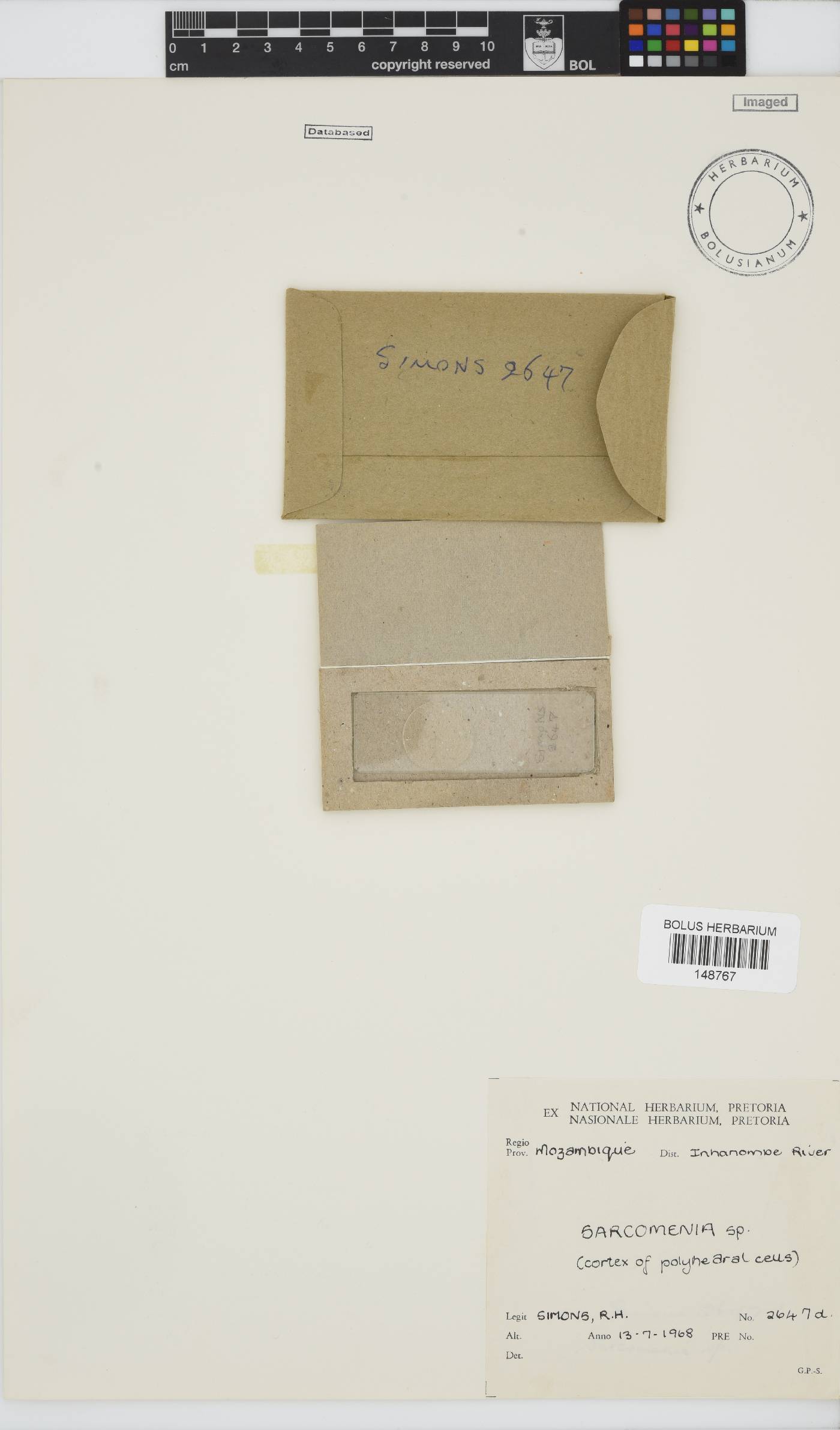 Sarcomenia image