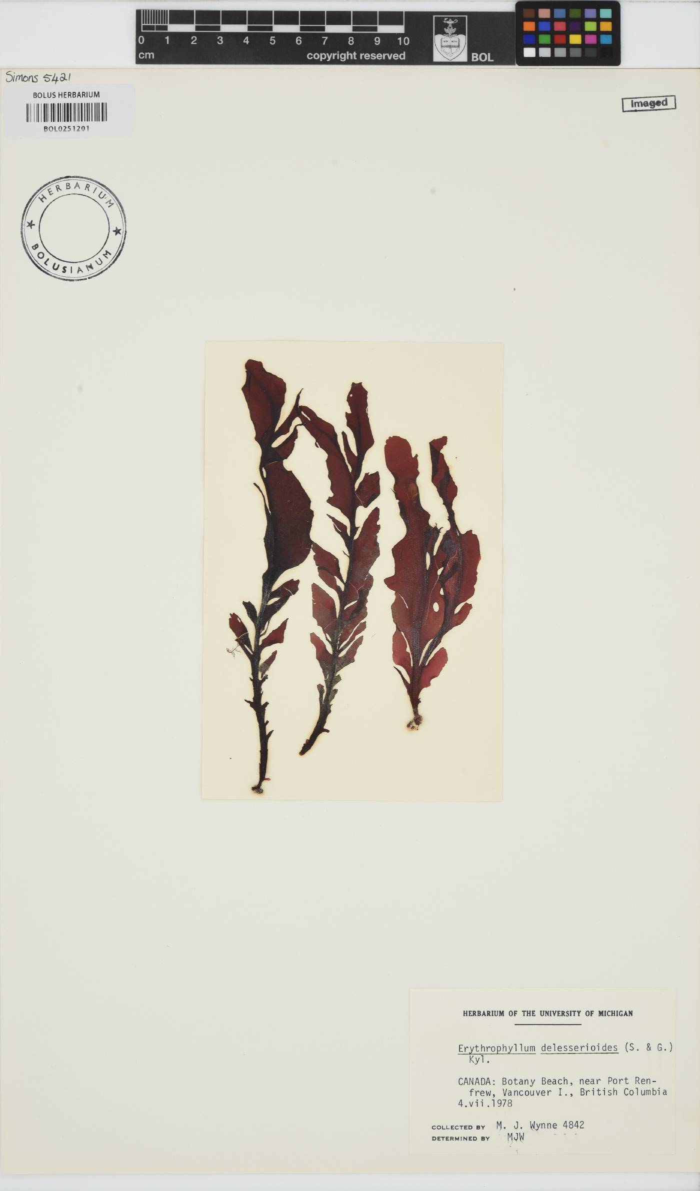 Erythrophyllum image